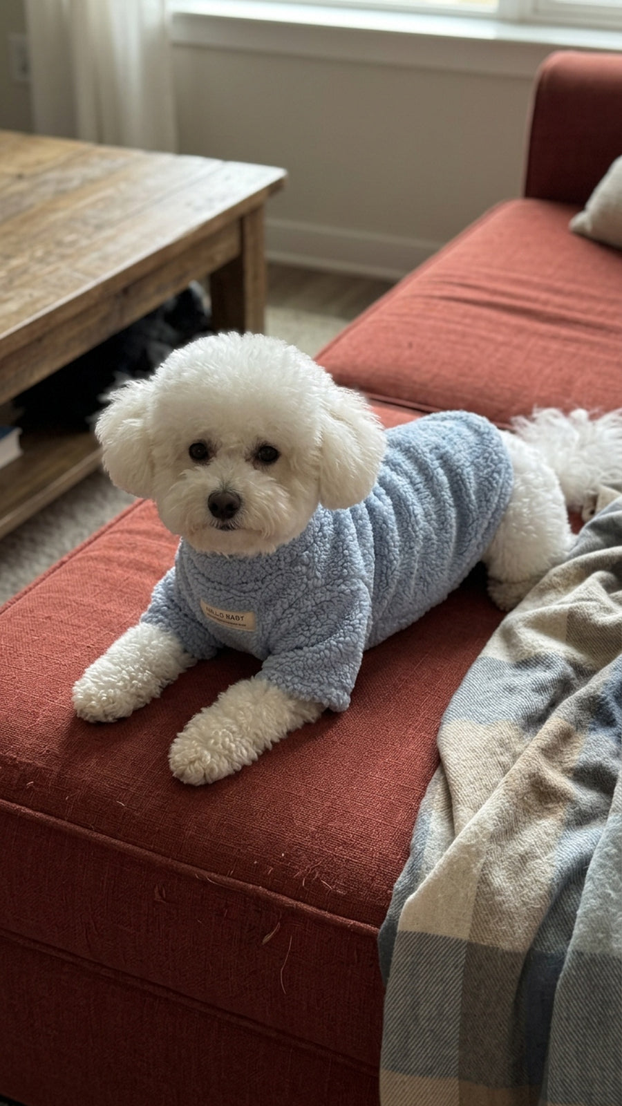 Poodle